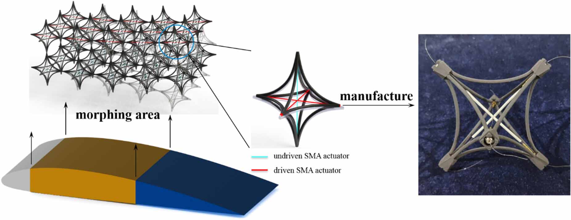 Deformation control method for active shape morphing lattice structure ...