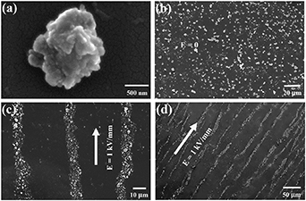 A highly homogeneous electrorheological fluid with potential ...
