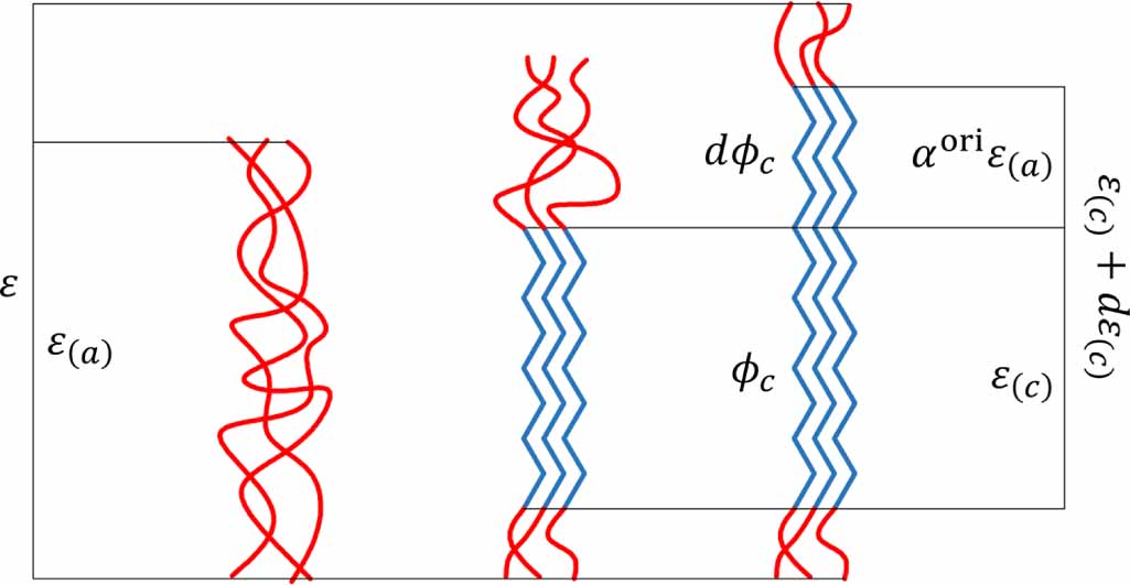Phase Transition Model A phase-transition model of reprocessible thermadapt shape memory ...