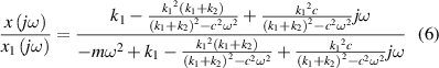 Equation (6)