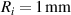 $R_{i} = 1\,\mathrm{mm}$