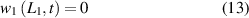 Equation (13)