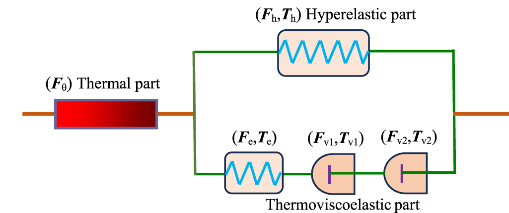 A thermo-mechanical constitutive model for triple-shape and two-way ...