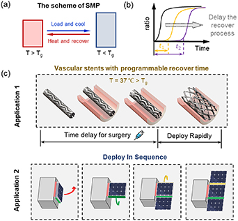 Shape memory polymer lattice structures with programmable thermal ...