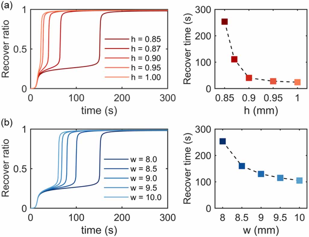 Shape memory polymer lattice structures with programmable thermal ...
