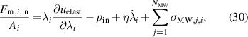 Equation (30)