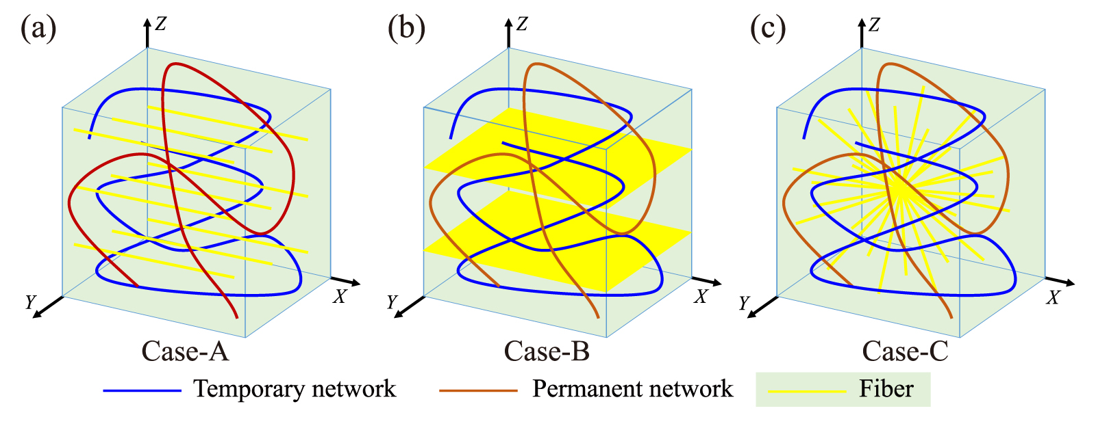 A statistically-based continuum anisotropic constitutive model of fiber ...