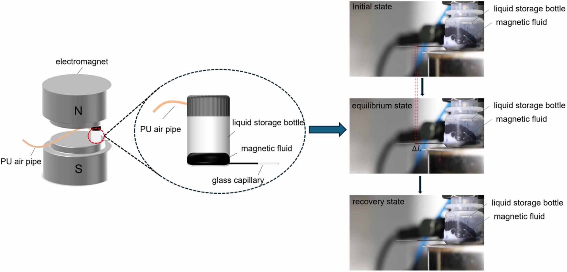 Quantitative and visualization study on pressure resistance of magnetic ...