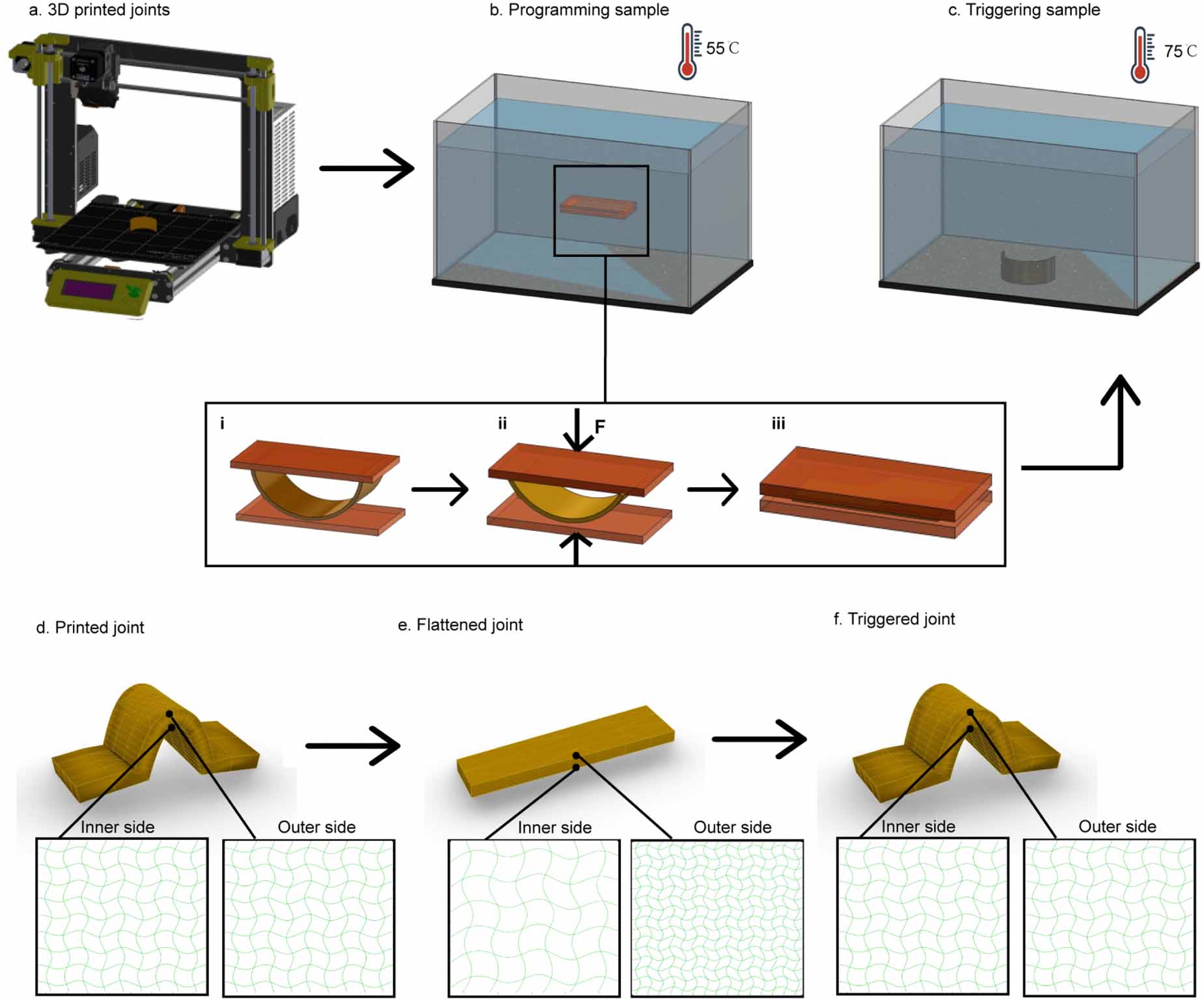 Self-assembly of wood-based shape memory composites triggered by solar ...