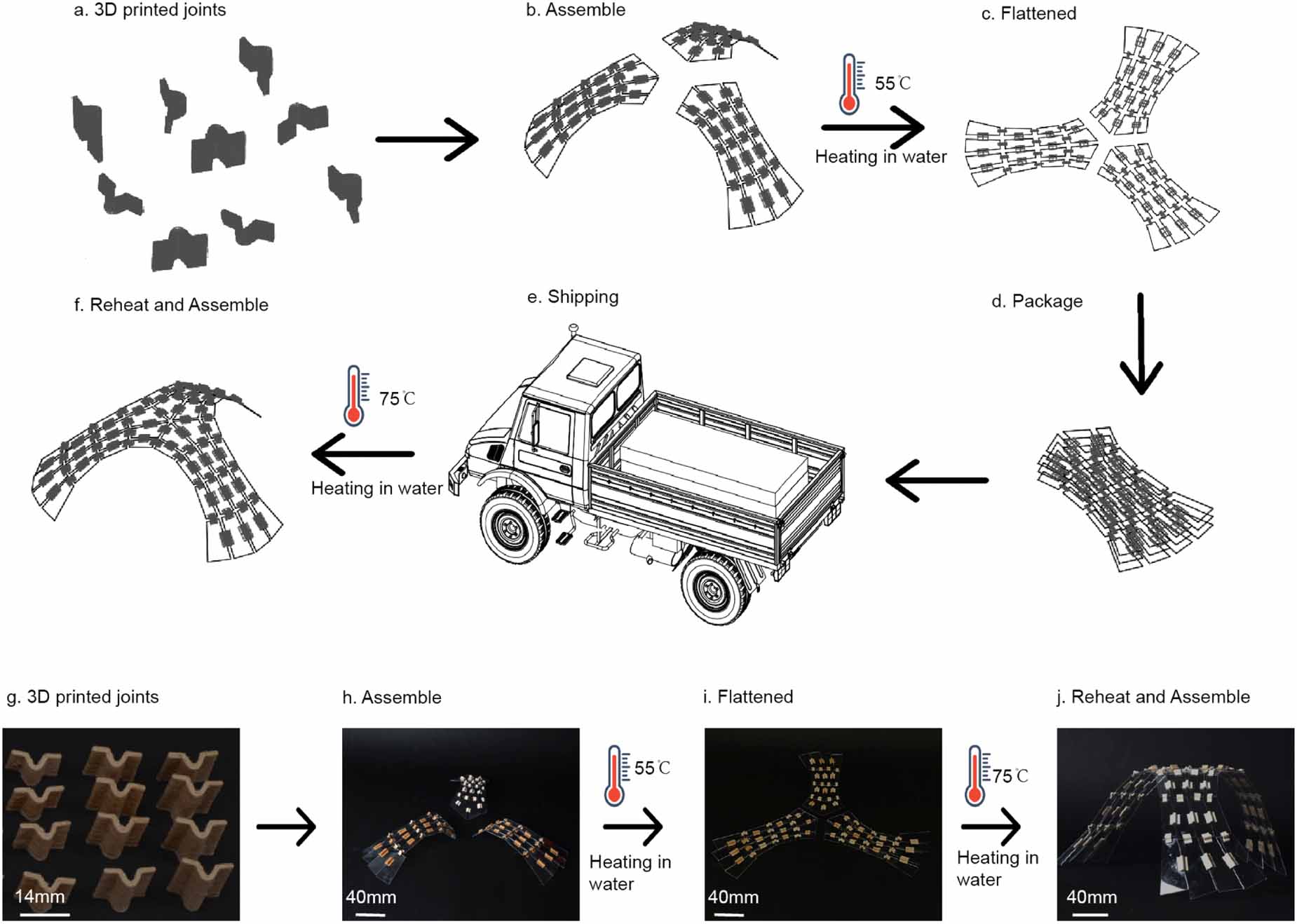 Self-assembly of wood-based shape memory composites triggered by solar ...