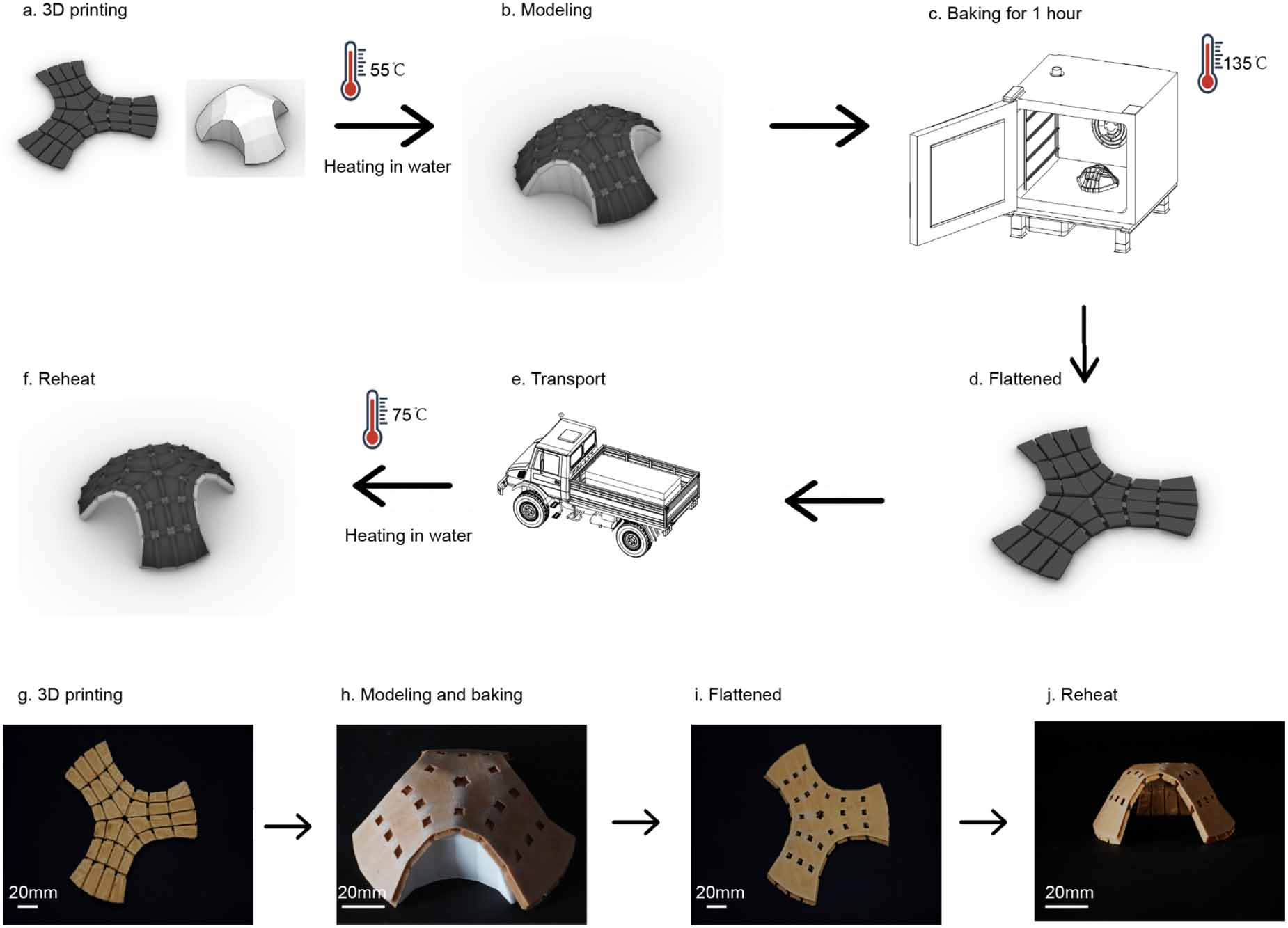 Self-assembly of wood-based shape memory composites triggered by solar ...