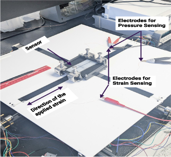 Simultaneous pressure and strain sensing with stretchable capacitive ...