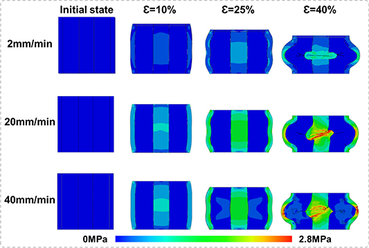 その他 Yu-1 E26 transformation-specific transcription variant 5 in