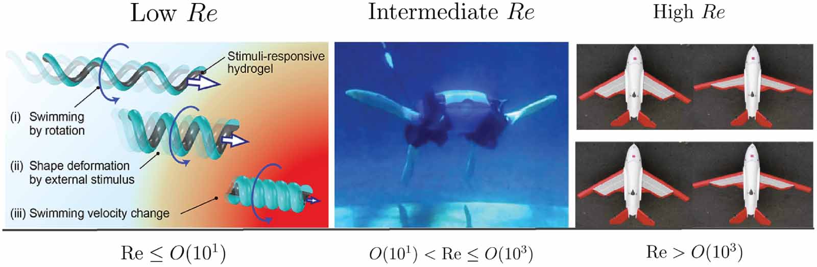 Fluid-structure interaction aspects of the shape-morphing structures ...