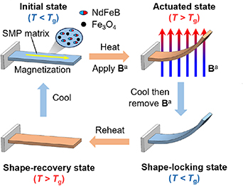 Magnetic shape memory polymers: a state-of-the-art review - IOPscience