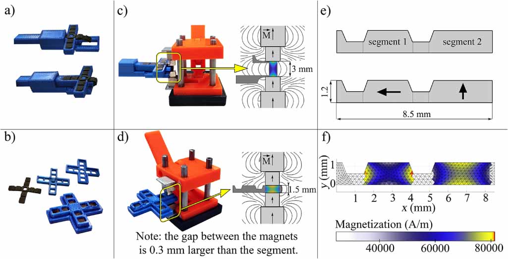Simplified model of magnetomechanical coupling: simulation of magnetic ...