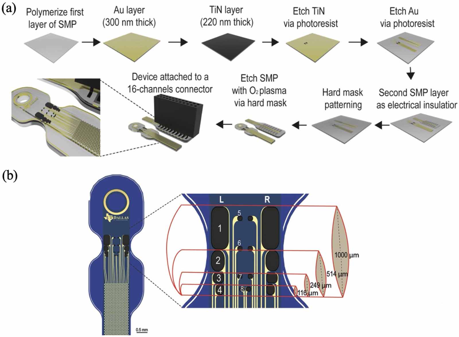Shape memory polymers for neural interfaces: a mini-review - IOPscience