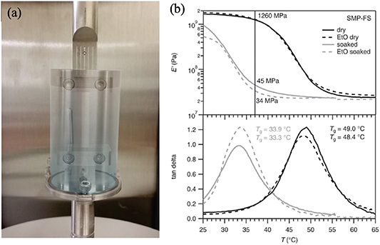 Shape memory polymers for neural interfaces: a mini-review - IOPscience