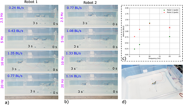 Design and fabrication of soft locomotion robots based on spatial ...