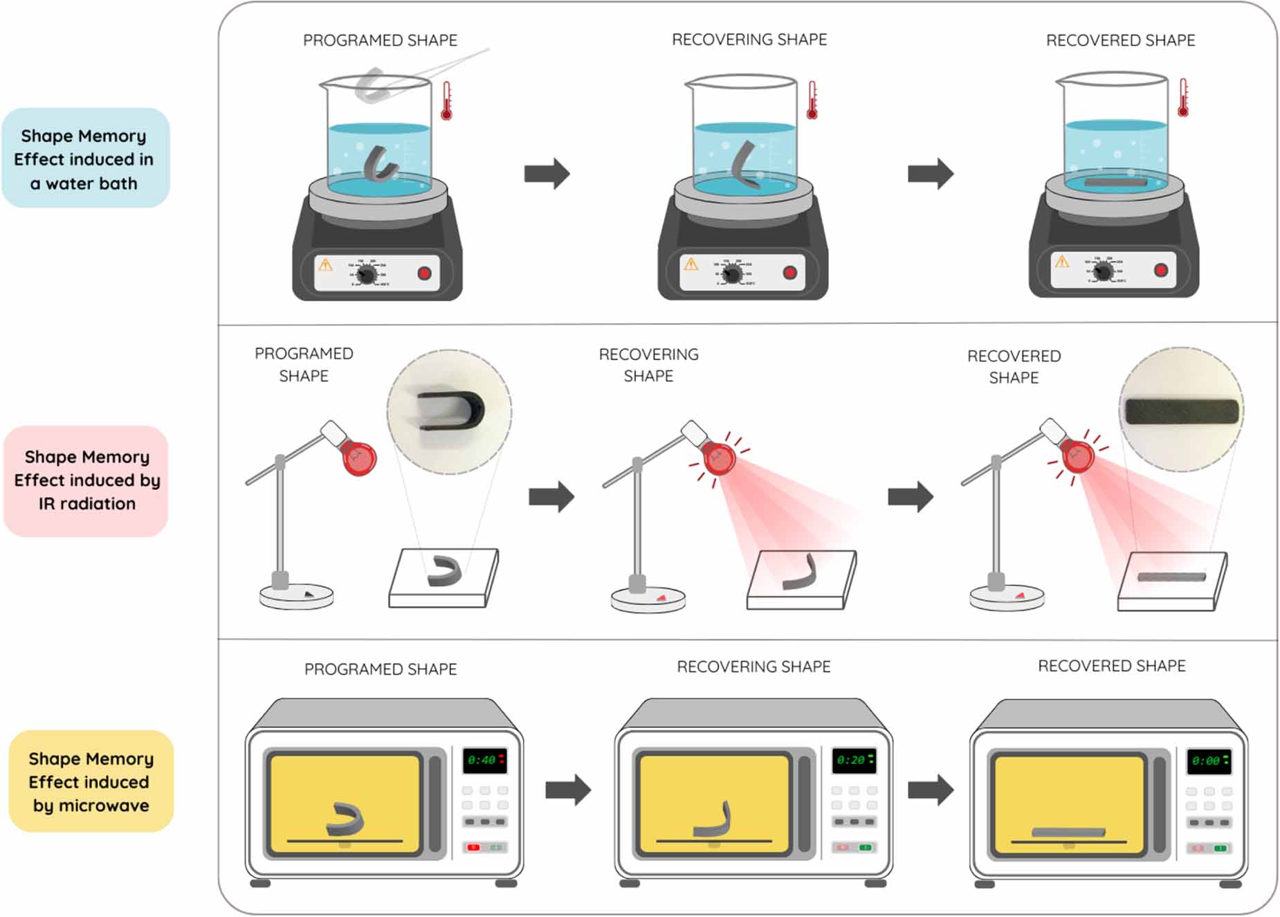 4D printing of multi-responsive shape memory polymers: PCL/POE blends ...