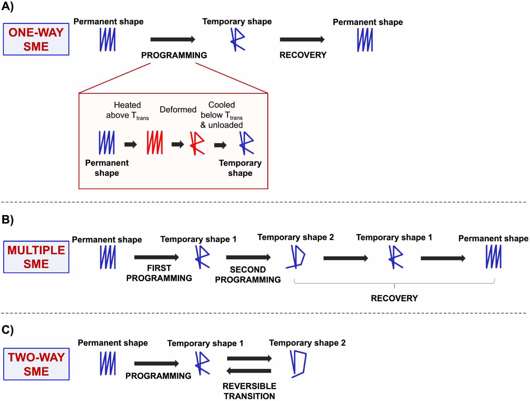 A computational approach for the simulation of shape memory polymer ...