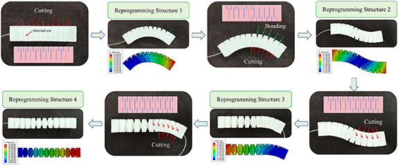 Design of reprogrammable soft pneumatic actuators via physically cut ...