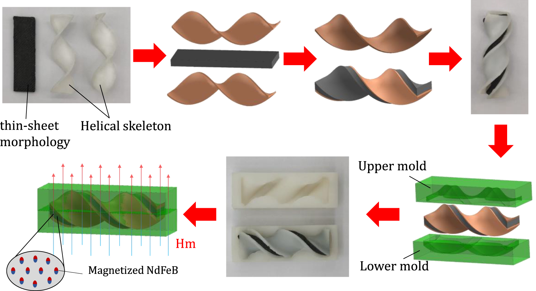 Magnetization strategy and deformation response of thin-sheet helical ...