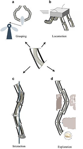 Programmable structure with shape memory materials for soft robotics ...
