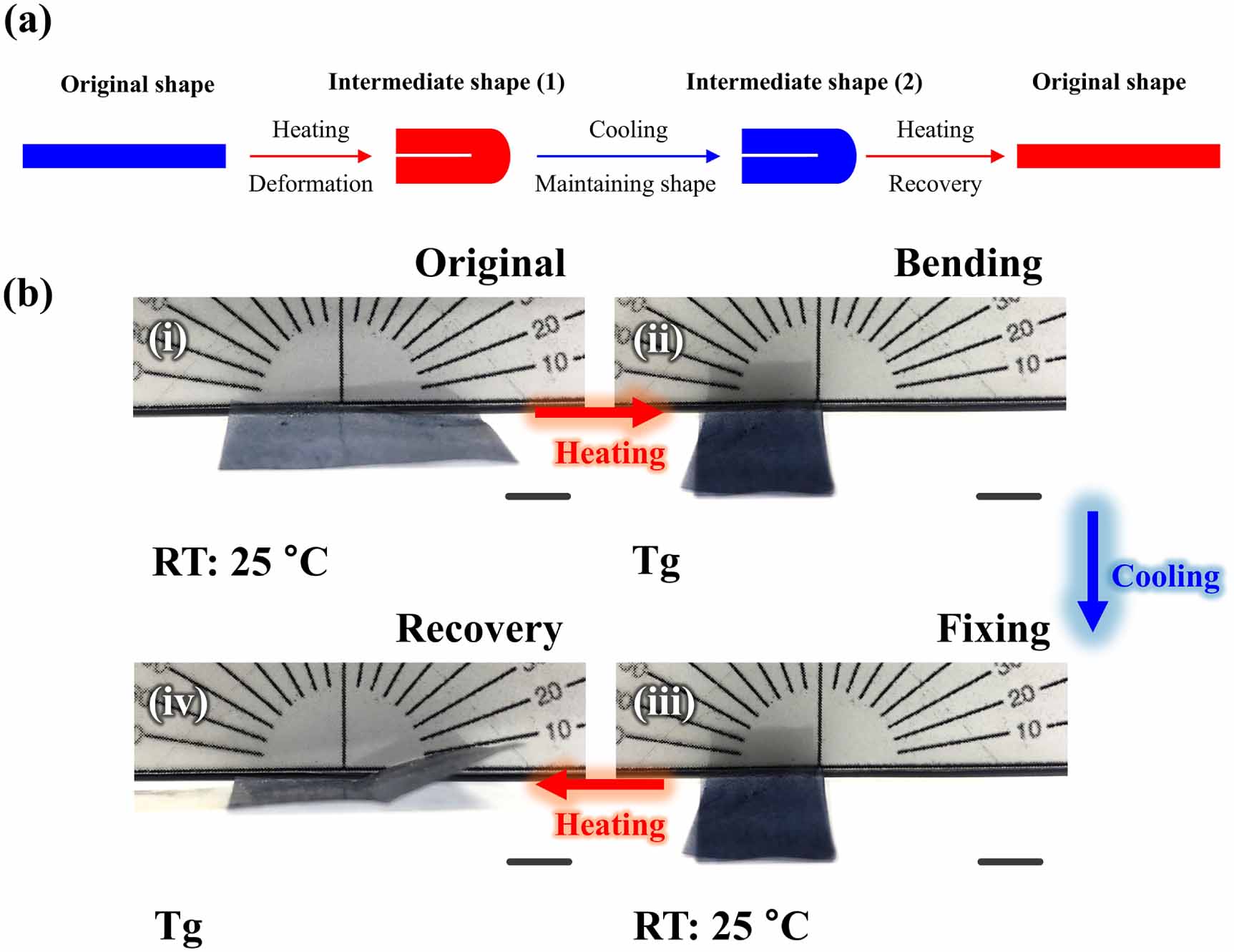 Fabrication of PEDOT:PSS shape memory polymer composites using vertical ...