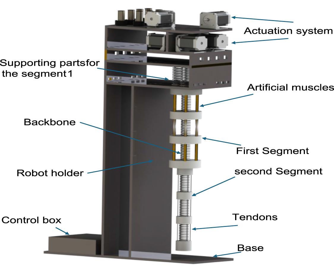 Design, modelling, and experimental validation of a hybrid continuum ...