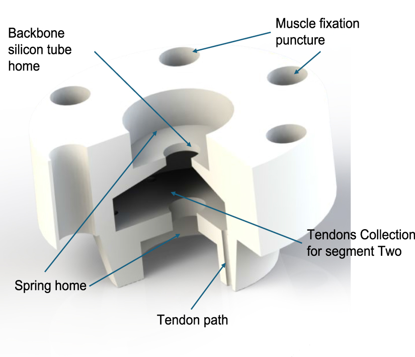 Design, modelling, and experimental validation of a hybrid continuum ...