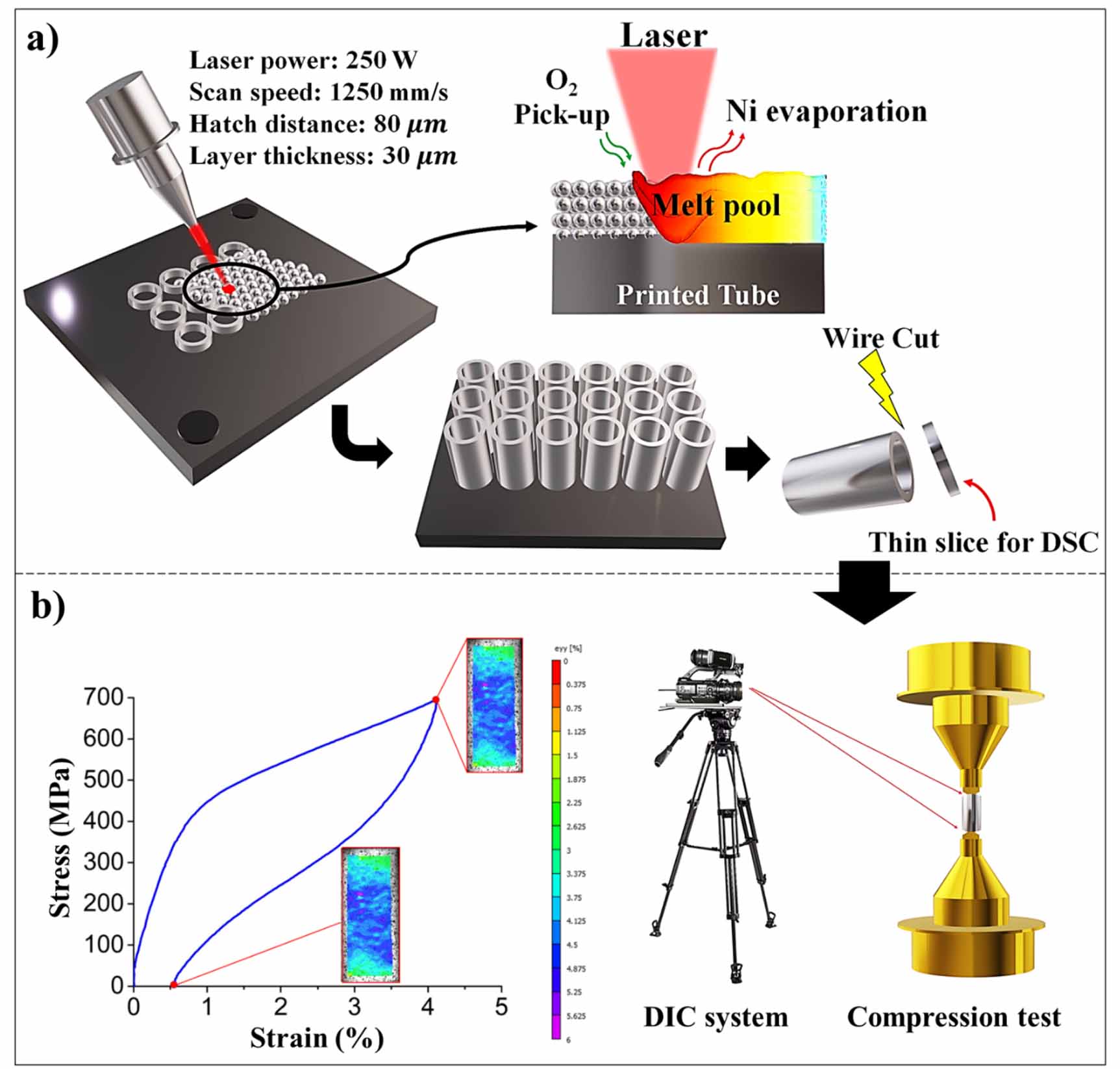 Thermomechanical behavior of NiTi shape memory alloy tubes fabricated ...
