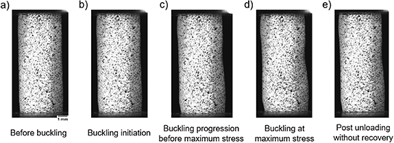 Thermomechanical behavior of NiTi shape memory alloy tubes fabricated ...