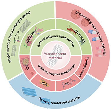 Bioresorbable polymer vascular stent: materials and structures - IOPscience