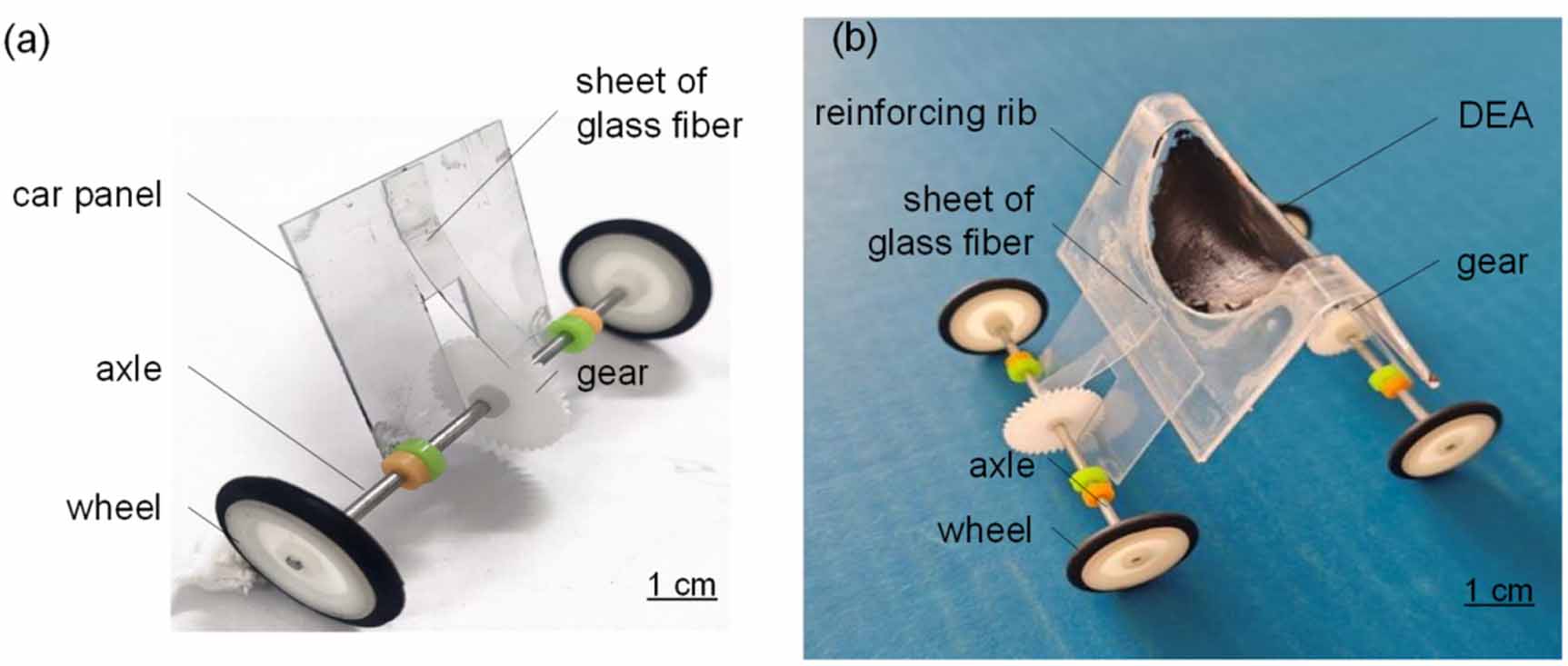 Multidirectional soft mobile robot driven by dielectric elastomer ...