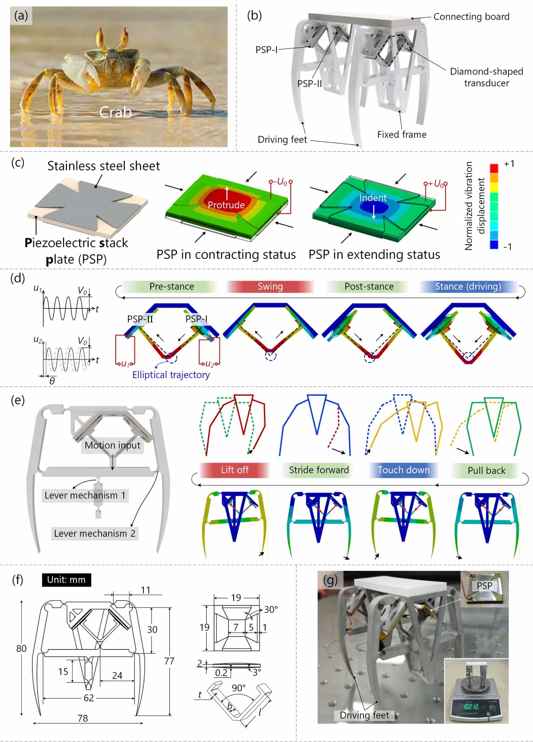 A non-resonant bionic piezoelectric robot with fast, load-carriable ...