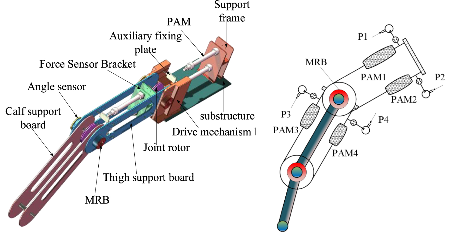Design and analysis of lower limb rehabilitation exoskeleton based on ...