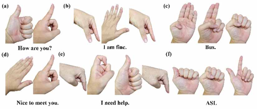 Sign language recognition based on a CNN-TCN model for the gesture ...