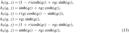 Equation (13)