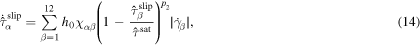 Equation (14)