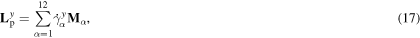 Equation (17)