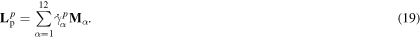 Equation (19)