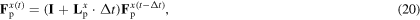 Equation (20)