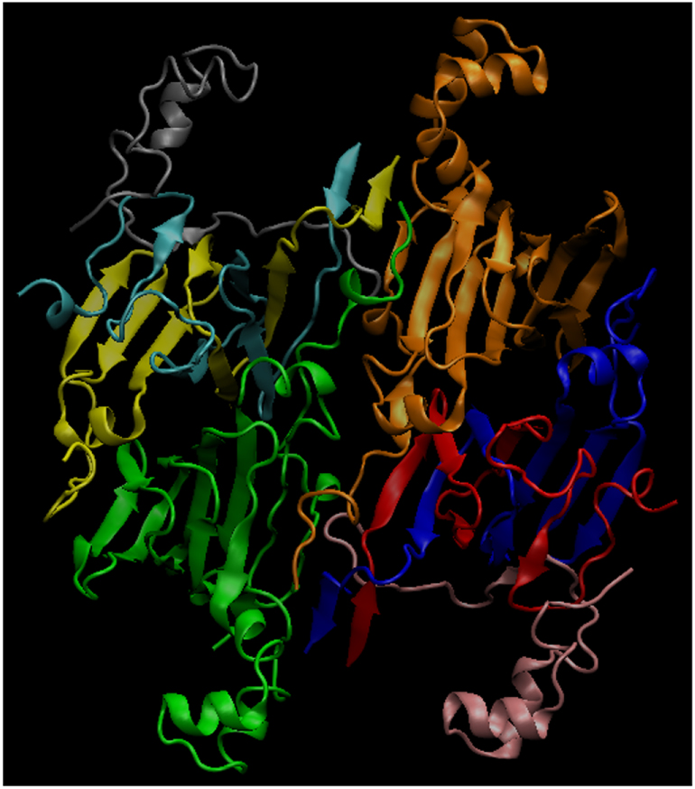 Numerical study on mechanisms of soy protein as a functional modifier ...
