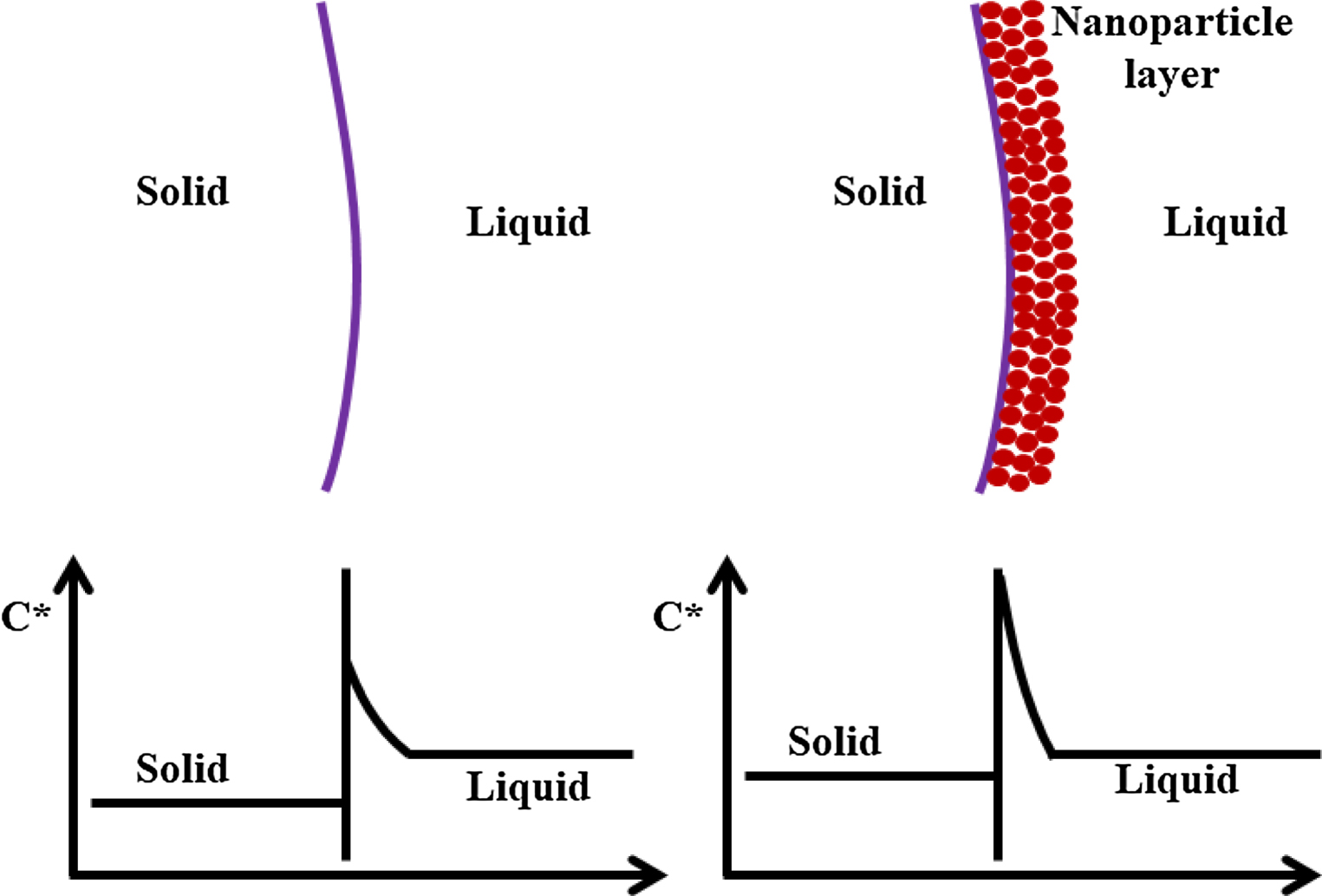 A 2D model for prediction of nanoparticle distribution and ...