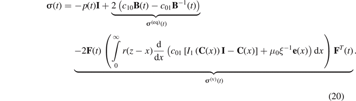 Equation (20)
