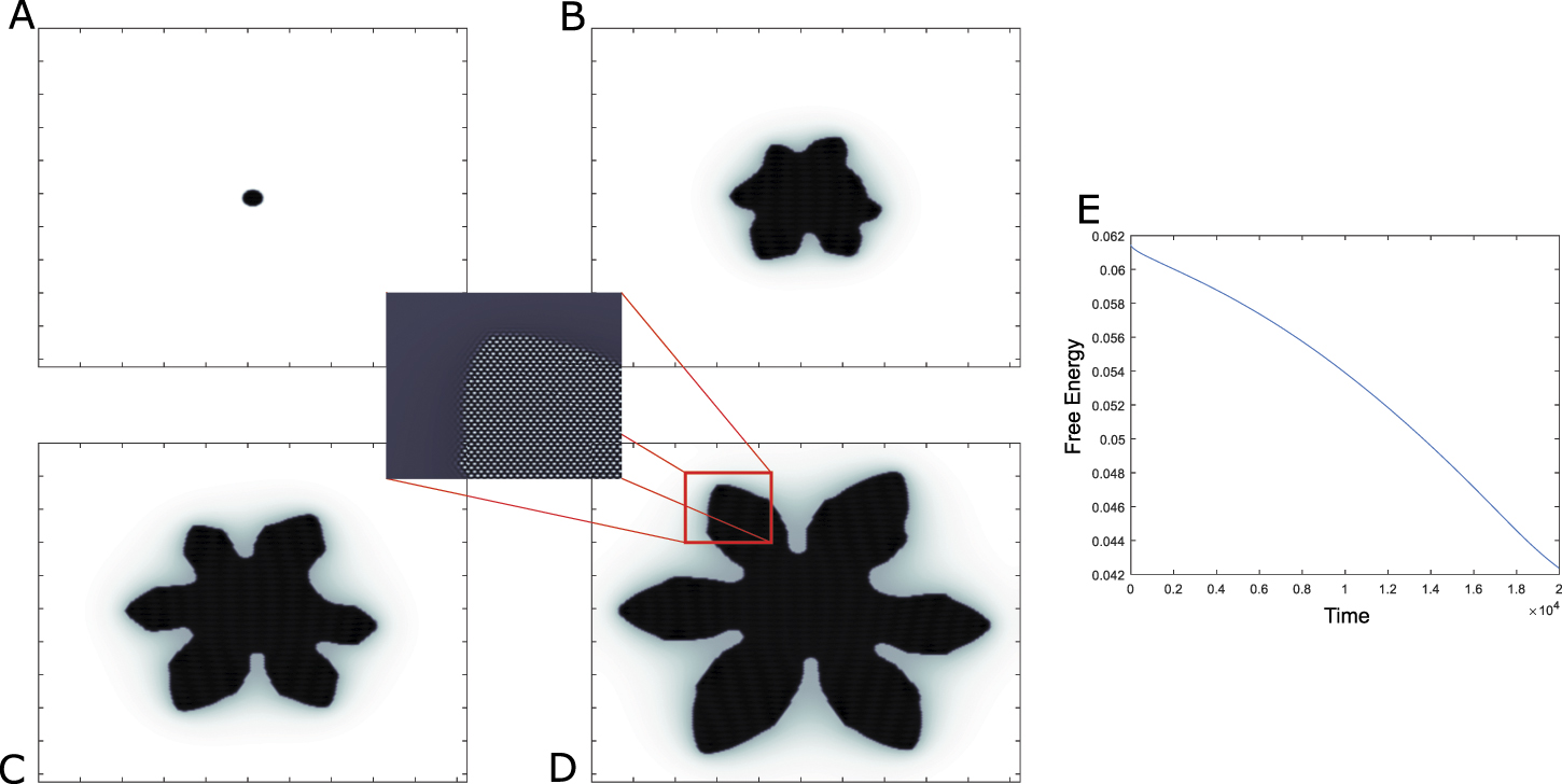 Time-scale investigation with the modified phase field crystal method ...