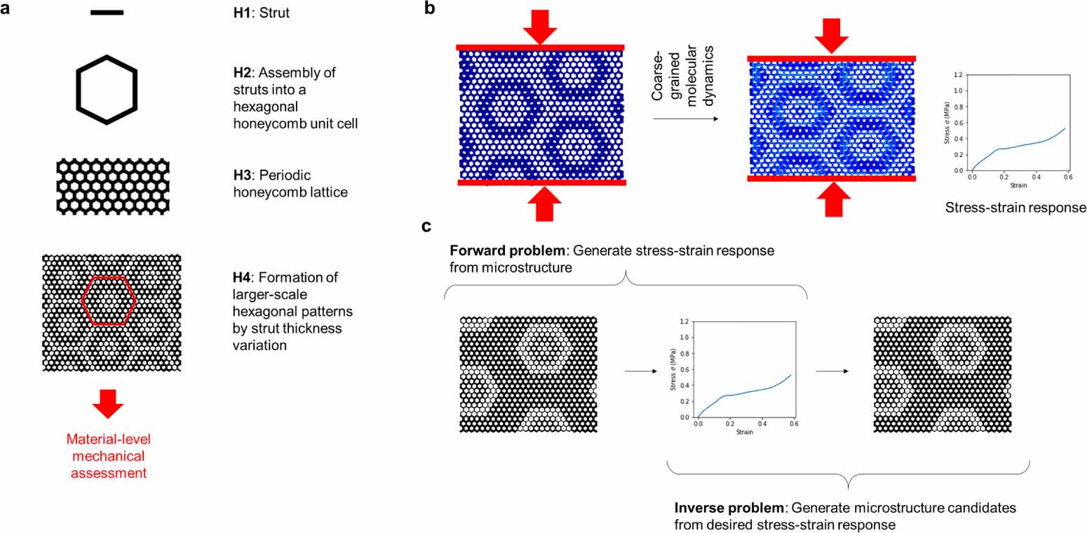 Multiple Base Material Model Examples A computational building block approach towards multiscale architected ...