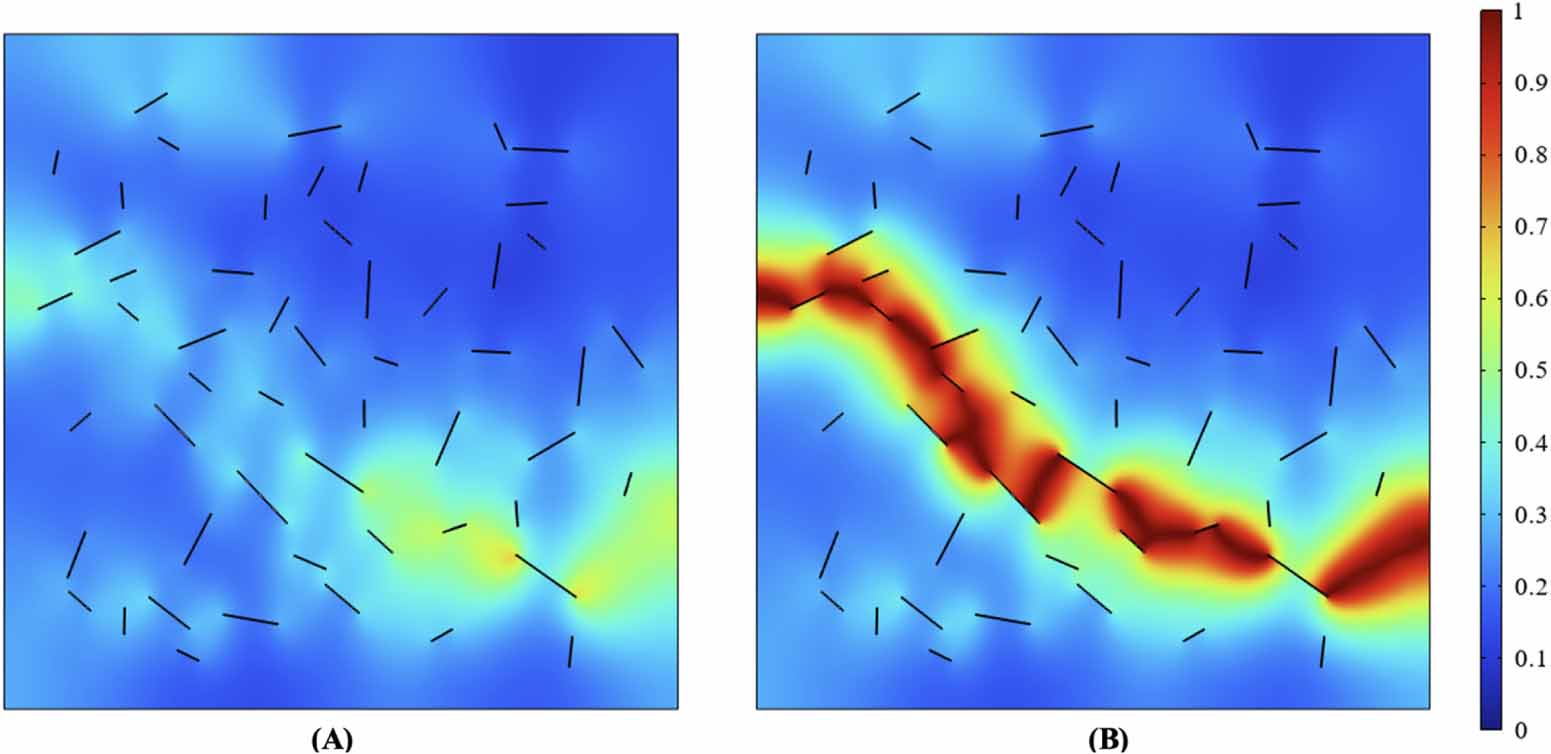 A probabilistic-phase field model for the fracture of brittle materials ...