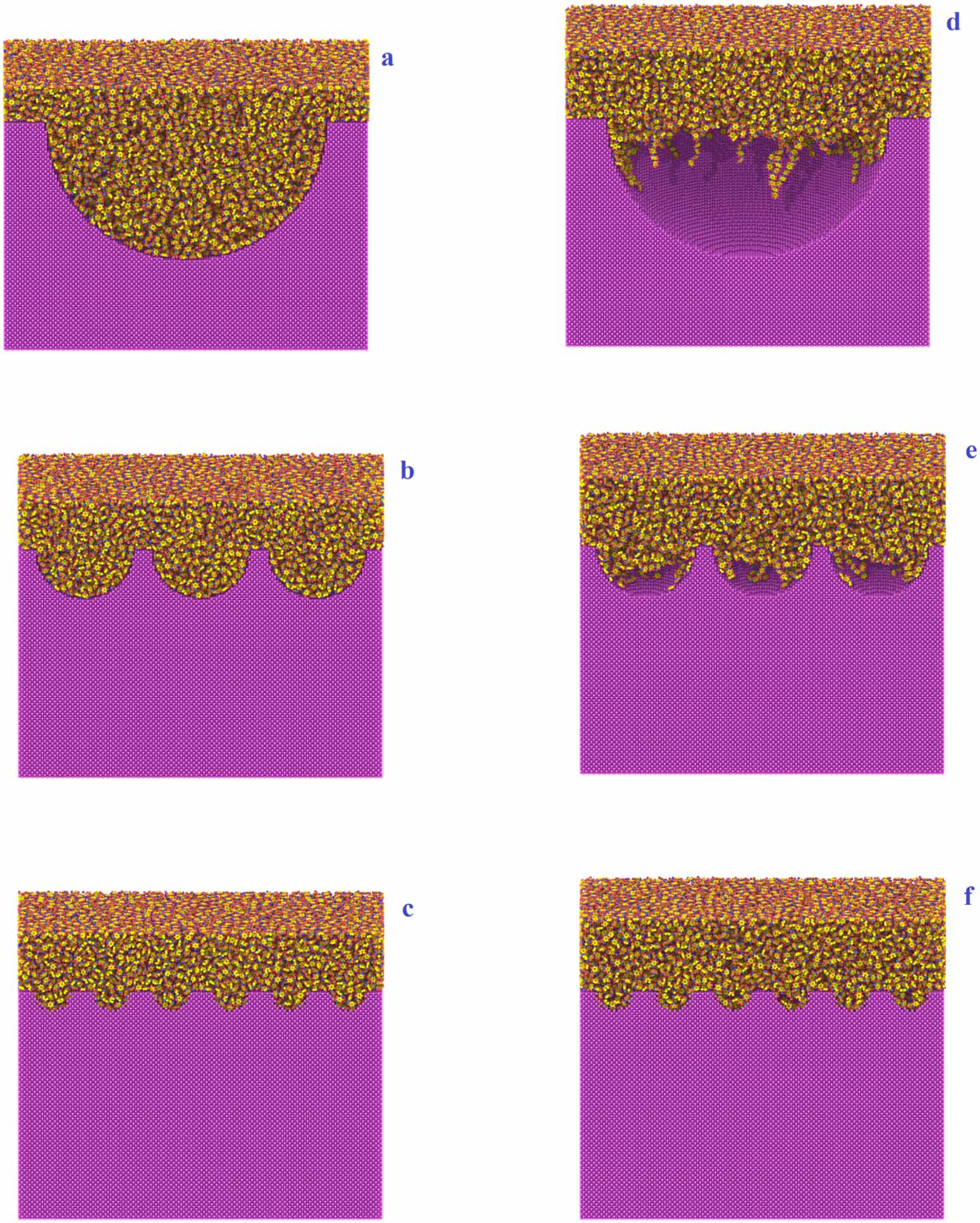 Simulating the replication and entanglement of semi-rigid polymers in ...